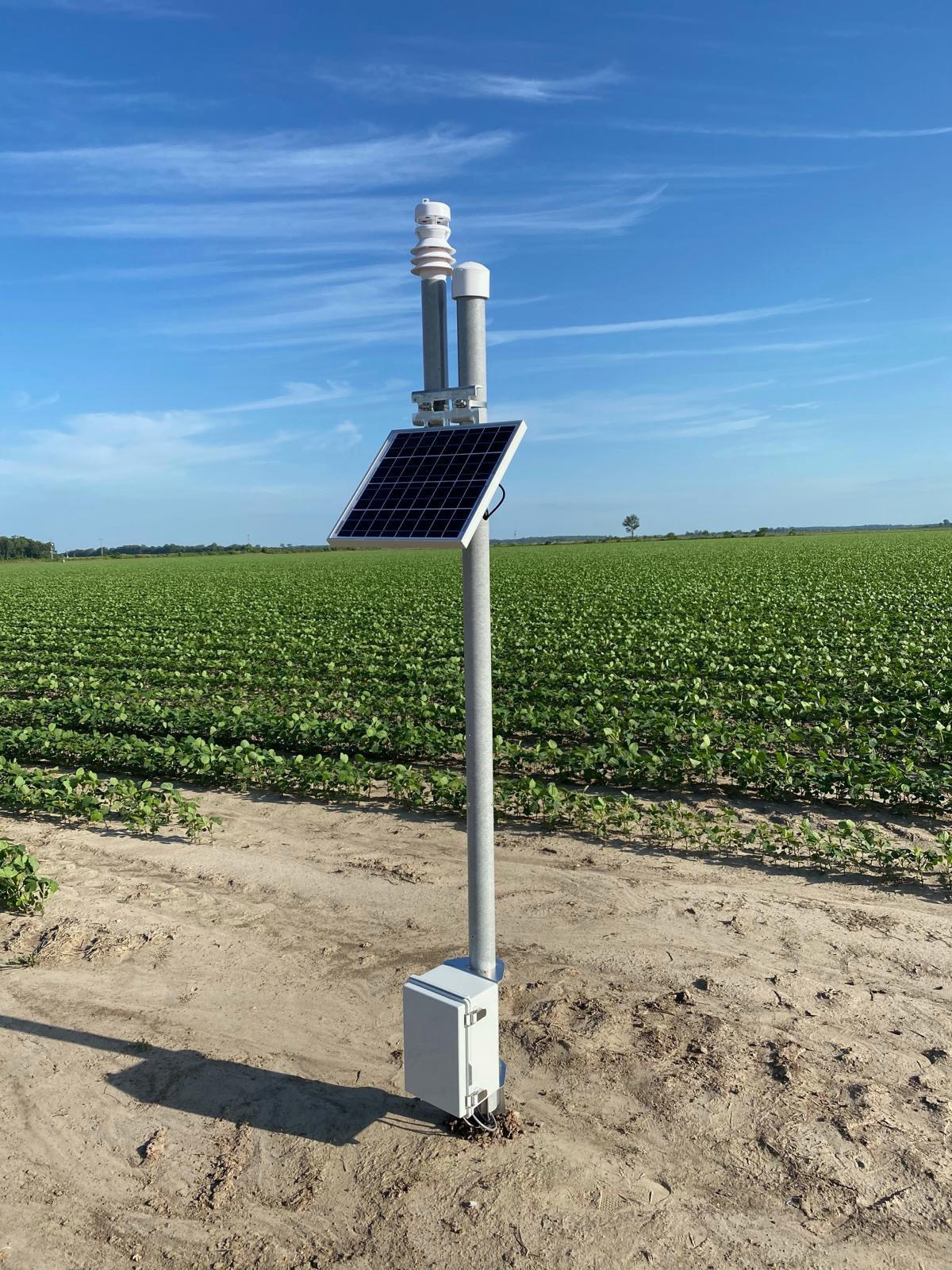 Weather Station MS Delta